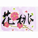 HANAMOMO1616sq.jpg HANAMOMO1616sq.jpg