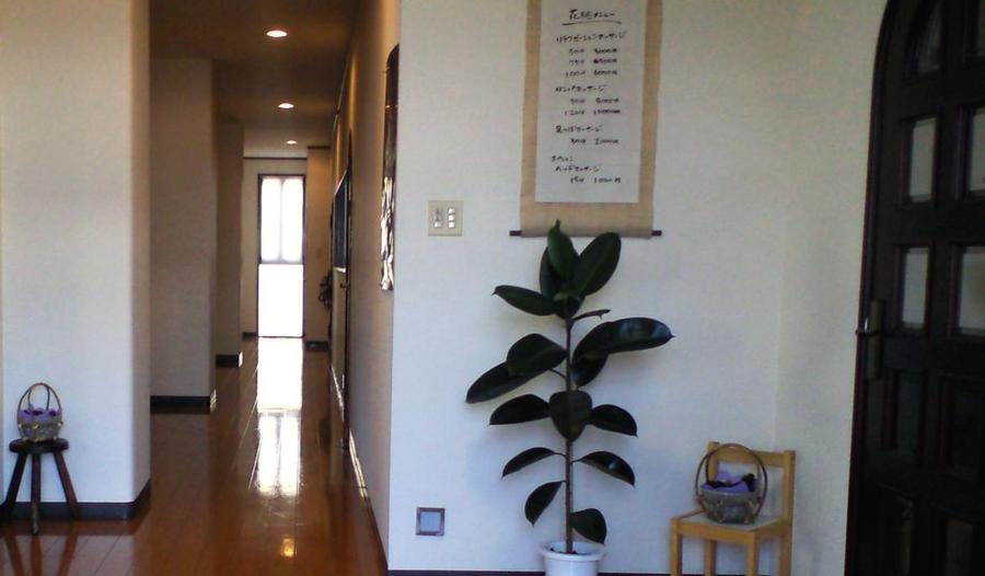 swfu/d/s_hanamomo_ent-2.jpg swfu/d/s_hanamomo_ent-2.jpg