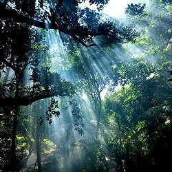 画像の説明 画像の説明